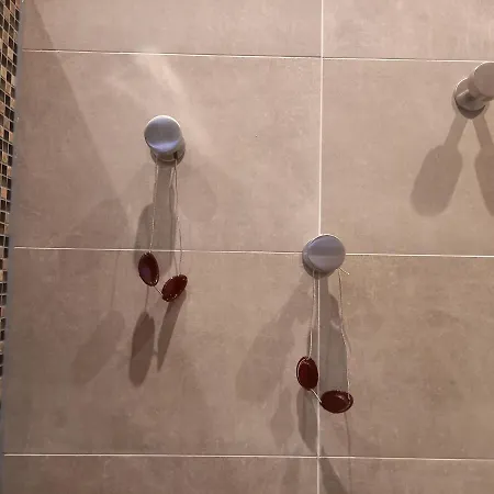 Pura Vida Del Rio Appartement